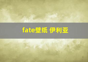 fate壁纸 伊利亚